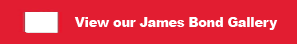 James Bond Theme Party Nights | Gallery