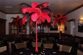 Feather Table Centres - Props for parties