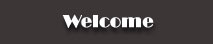 Welcome to Manhattan Casino Nights | Fun Casino Hire in the North West 